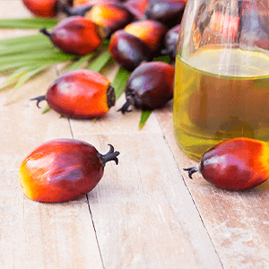 Nattokinase + Vitamin K2/D/C