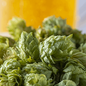 High-Efficiency Curcumin