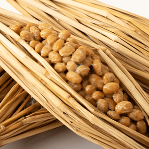 Natto Bacteria